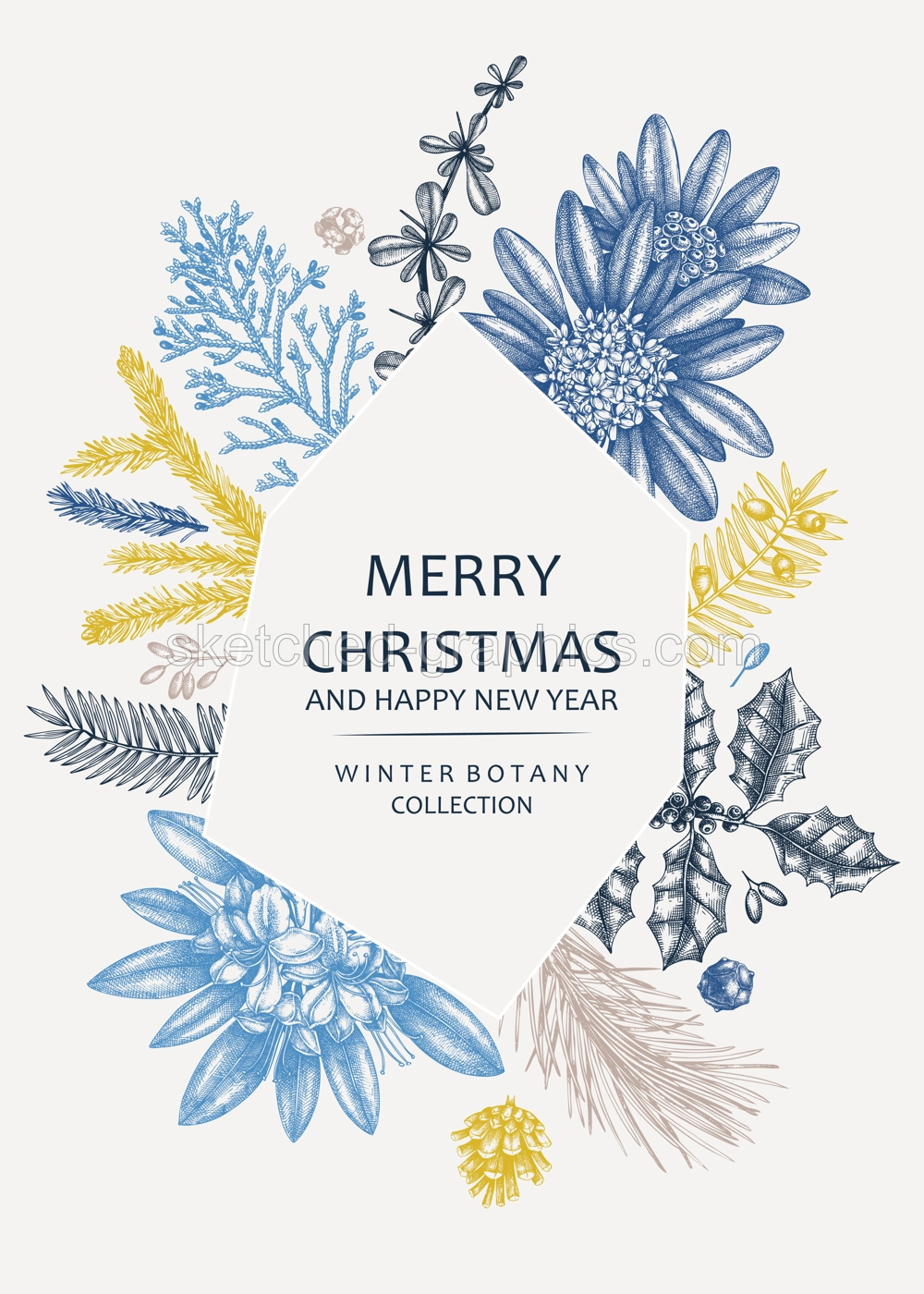 Christmas Greeting Card Botanical Frame Illustration